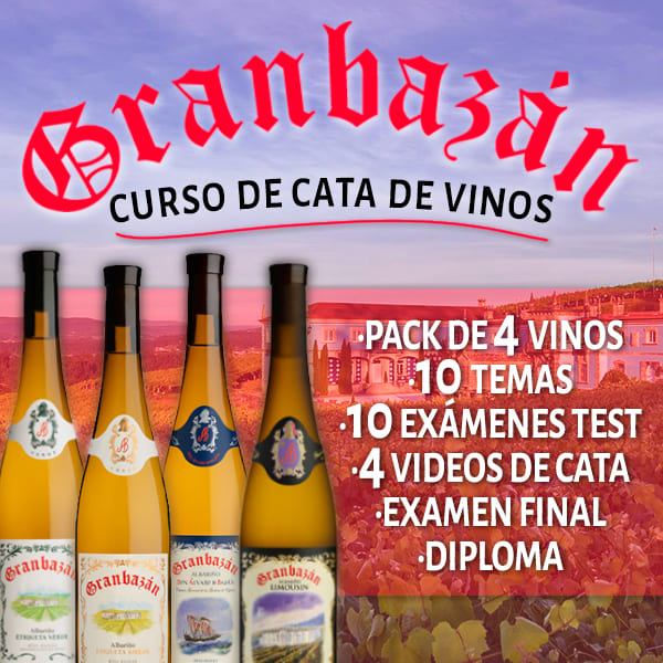 Las bodegas crean Cursos online de la cata del vino para promocionar y fomentar su cultura.